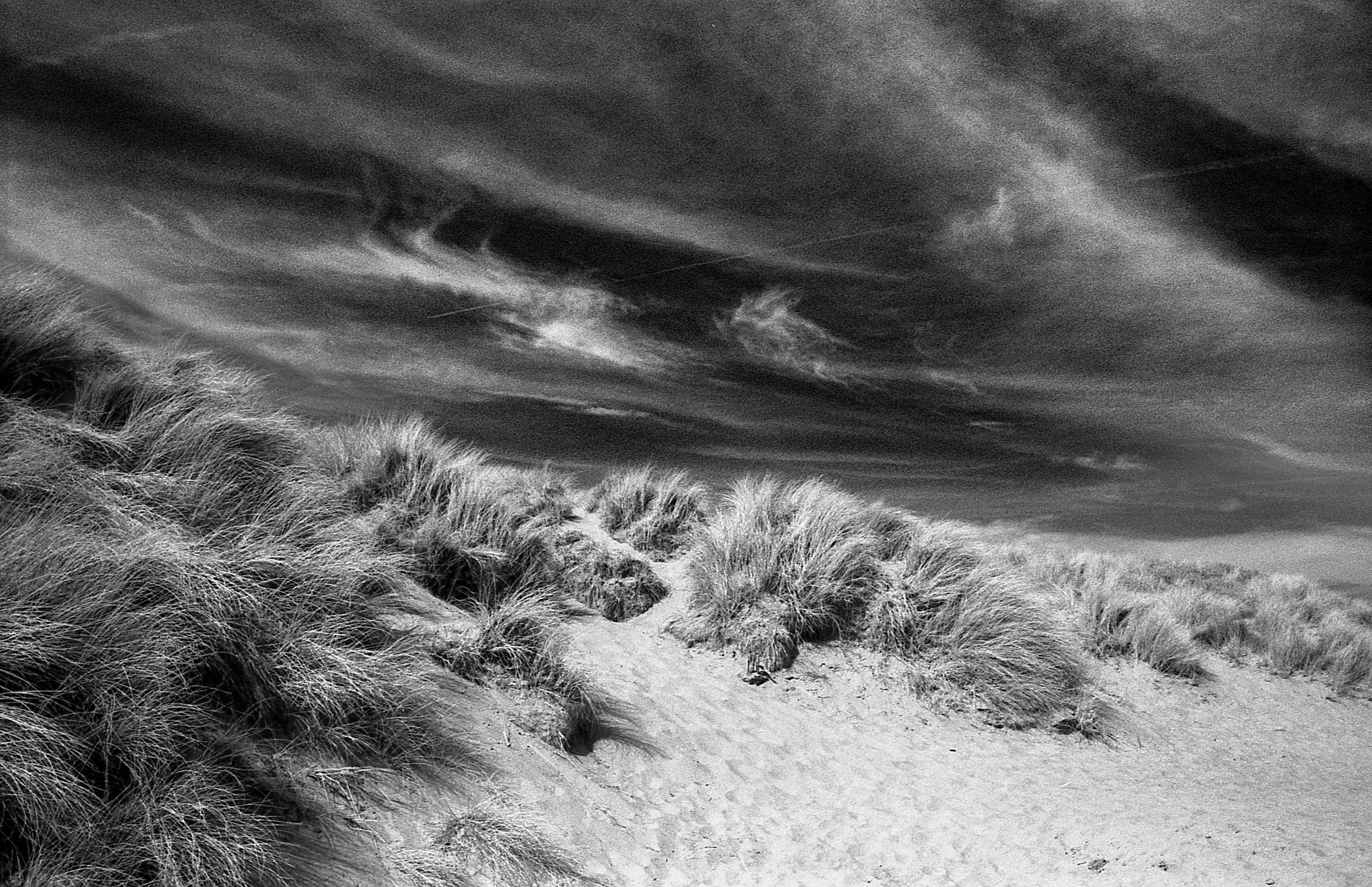 01CamberSands009.jpg