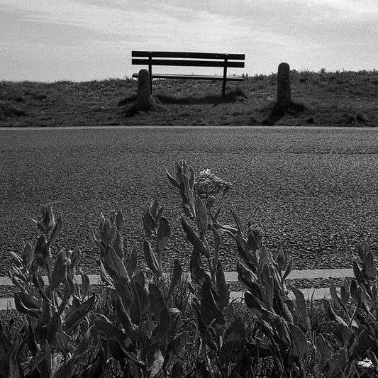 35mm and 120 Monochrome and Colour Scanning