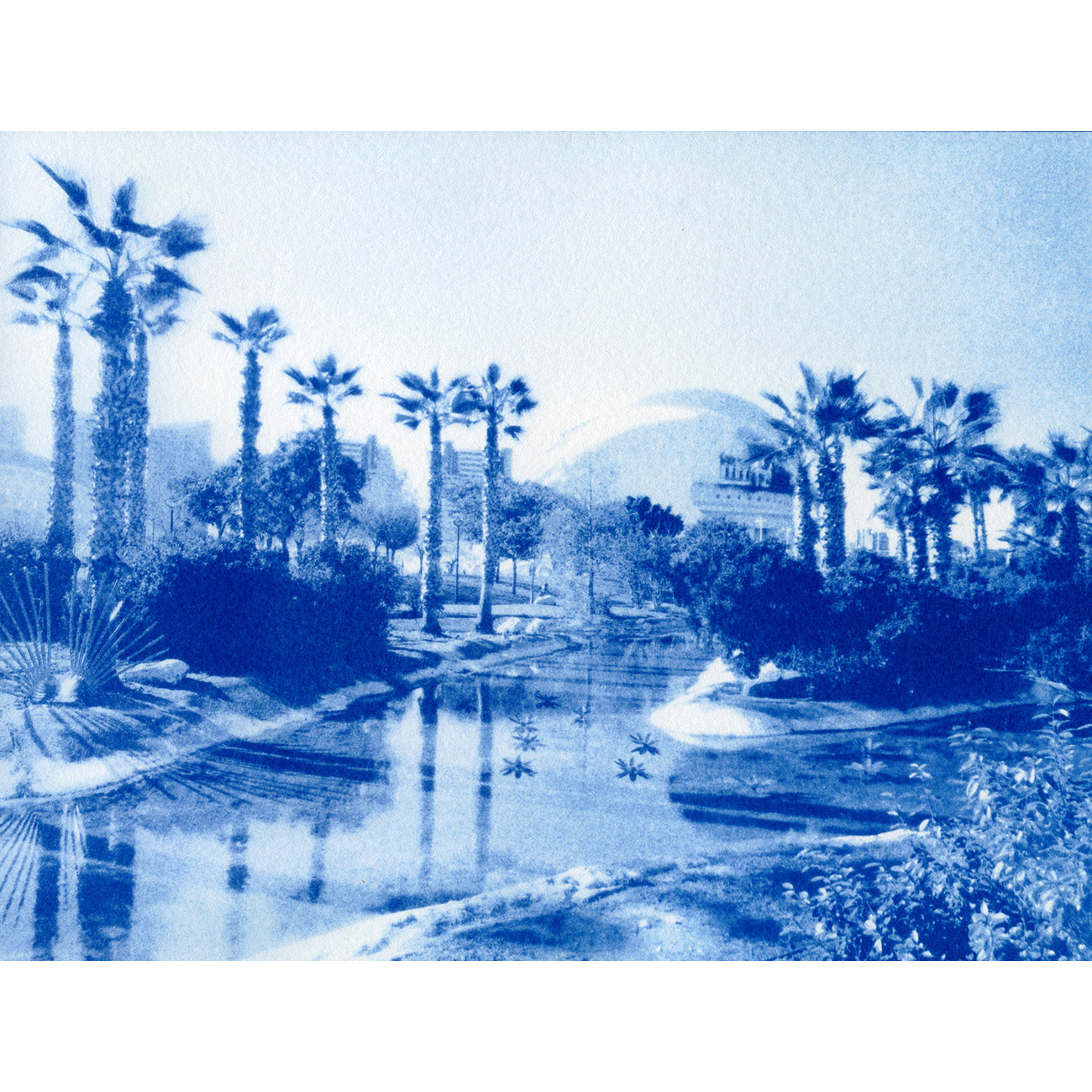 Cyanotype Discovery Kit | Sun Print Kit with Chemistry, Paper & Brush | A5