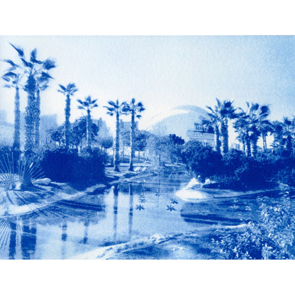 Cyanotype Discovery Kit | Sun Print Kit with Chemistry, Paper & Brush | A5