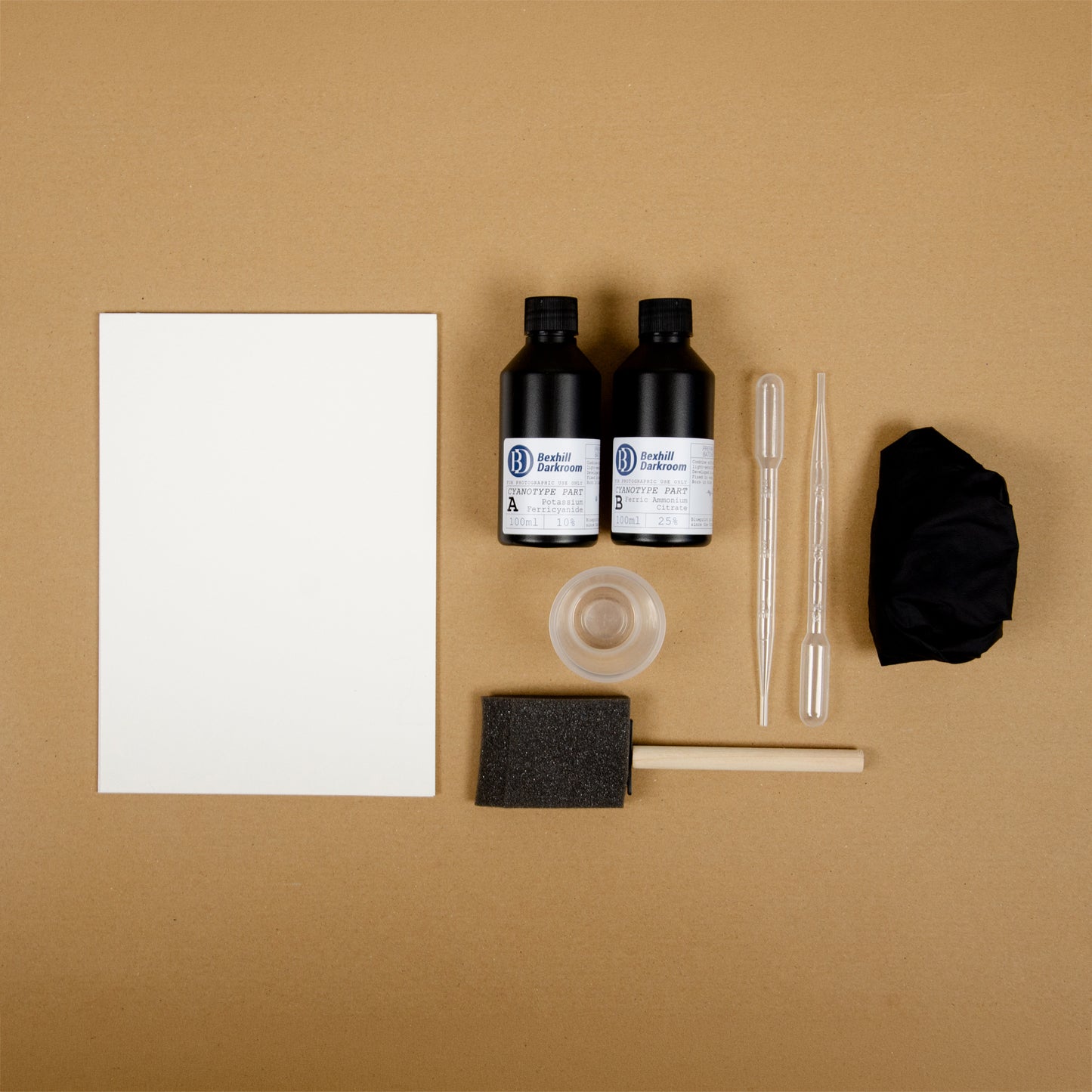 Cyanotype Discovery Kit | Sun Print Kit with Chemistry, Paper & Brush | A5